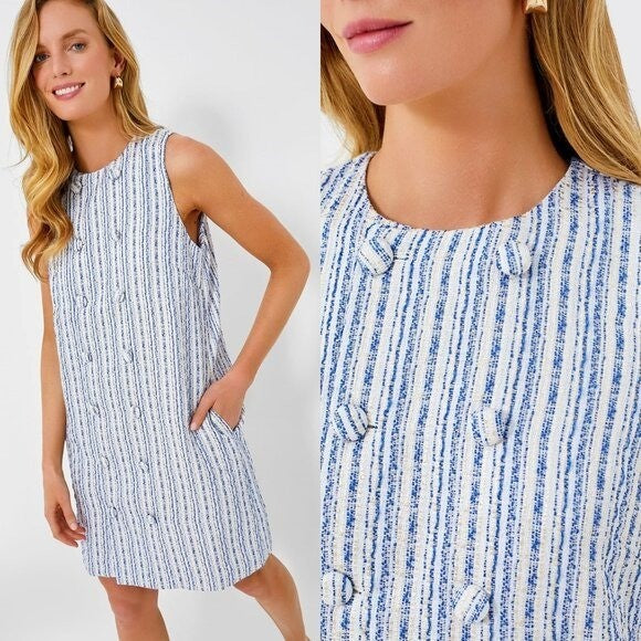 Tuckernuck NEW Ethereal Tweed Bianca Sleeveless Blue Stripe Mini Dress Size S